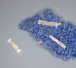 Larvae and cases found on a woollen scarf - Great Staughton